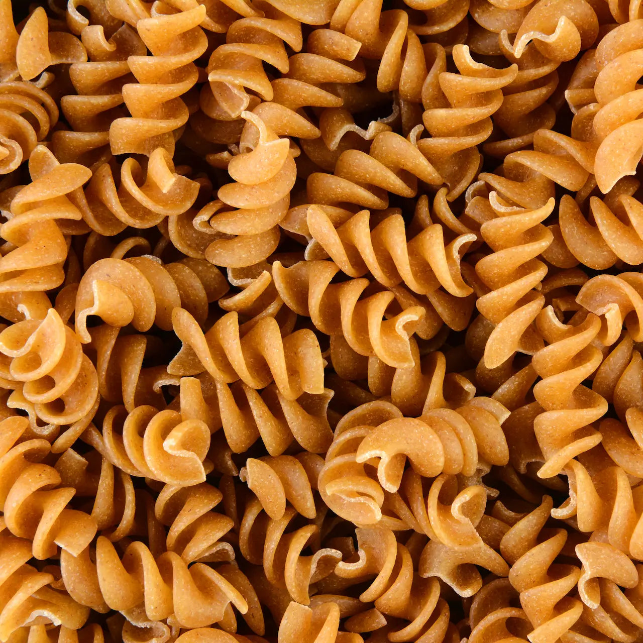 Sun_Swell Rotini Pasta