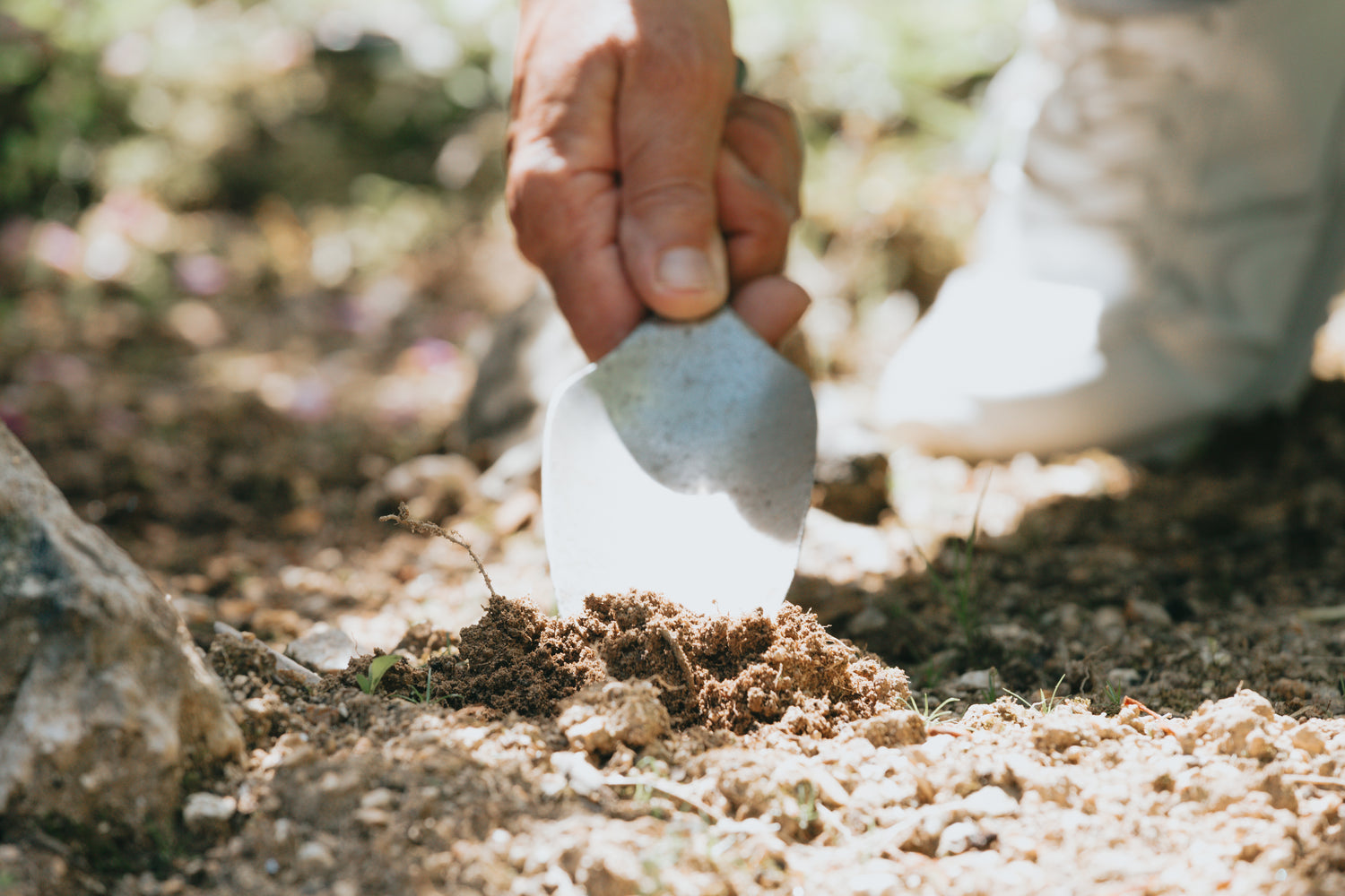 garden trowel in dirt