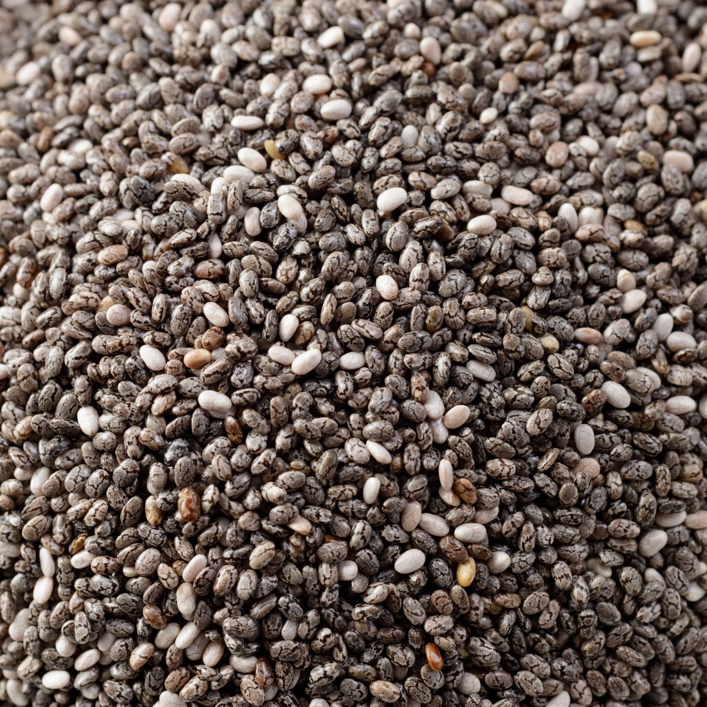 organic chia seeds