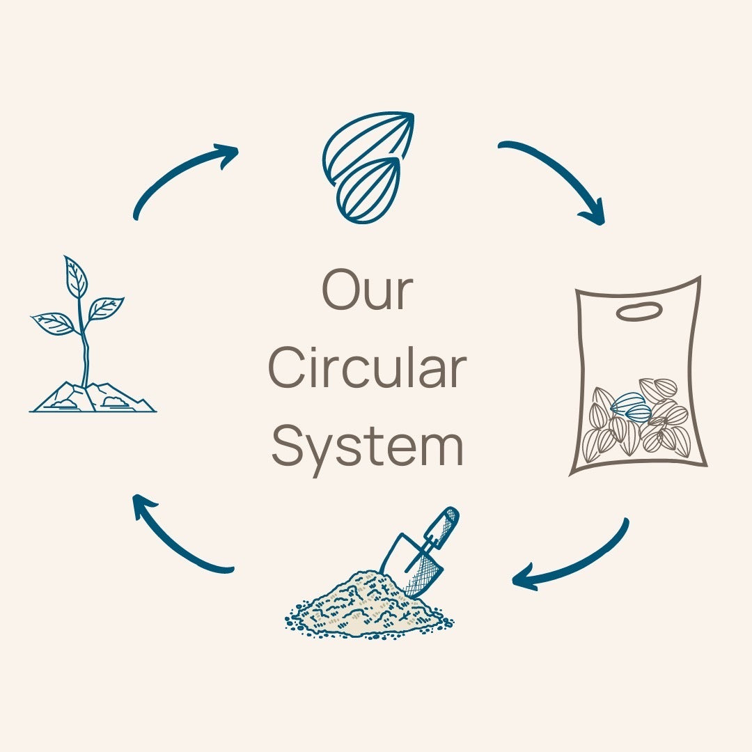Our Circular System at Sun and Swell Foods