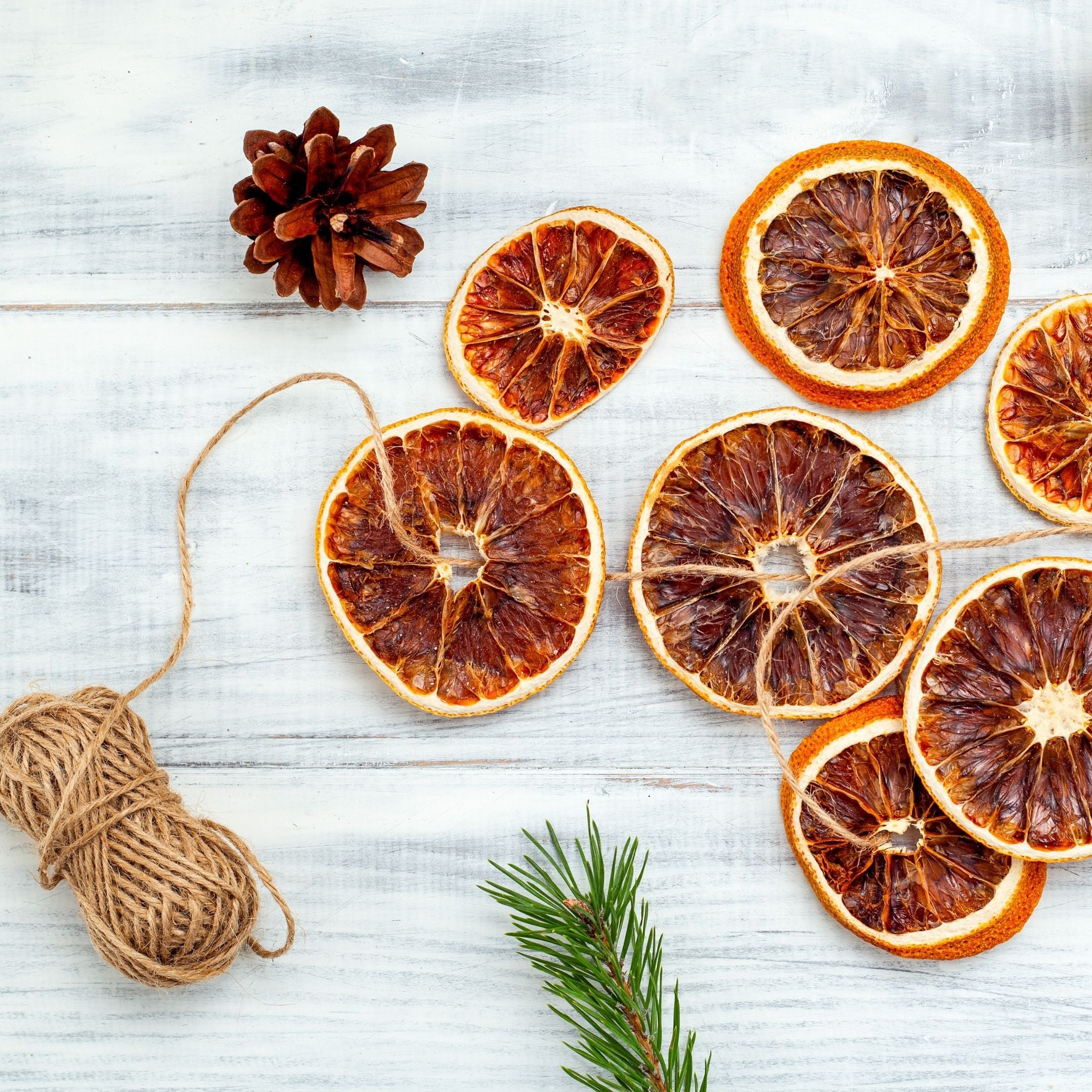 How to Make Dried Orange Garland Sun & Swell Foods