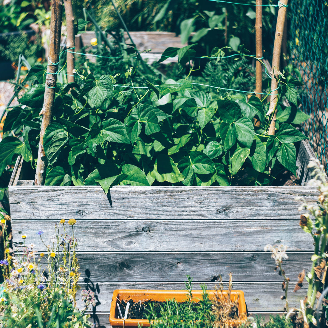 4 Reasons Why Composting is Awesome