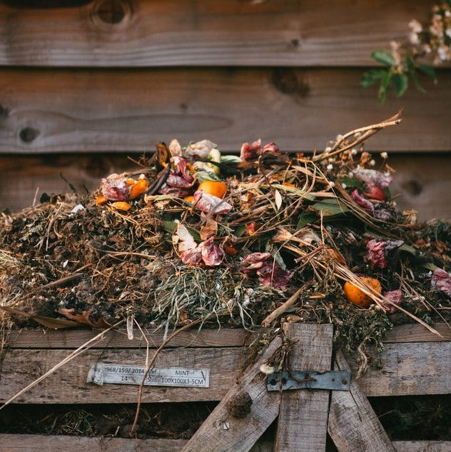 5 Steps to Creating Your Own Home Compost