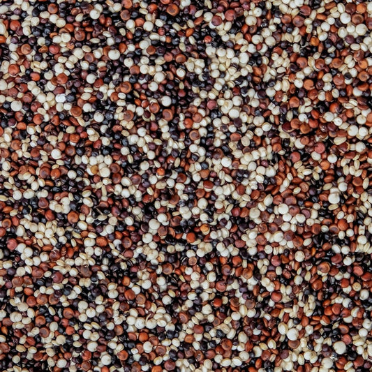 Bulk tricolor quinoa