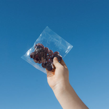 Cherry Gummies (Sun & Swell X FAVES) - 12 pack