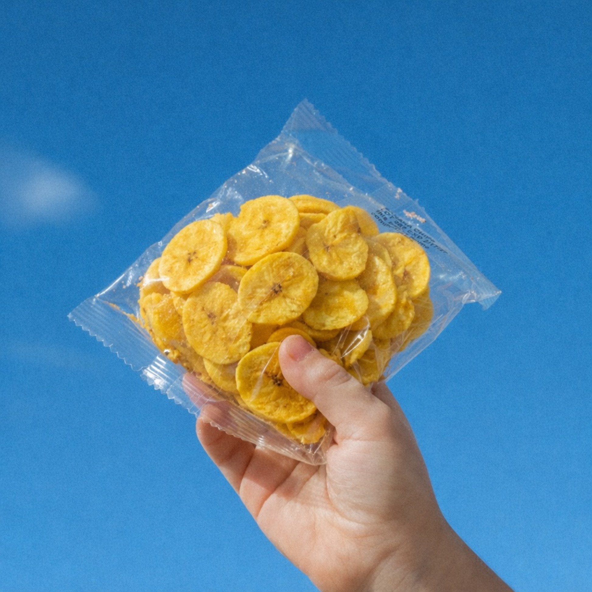 plantain chips with sea salt single serve snack