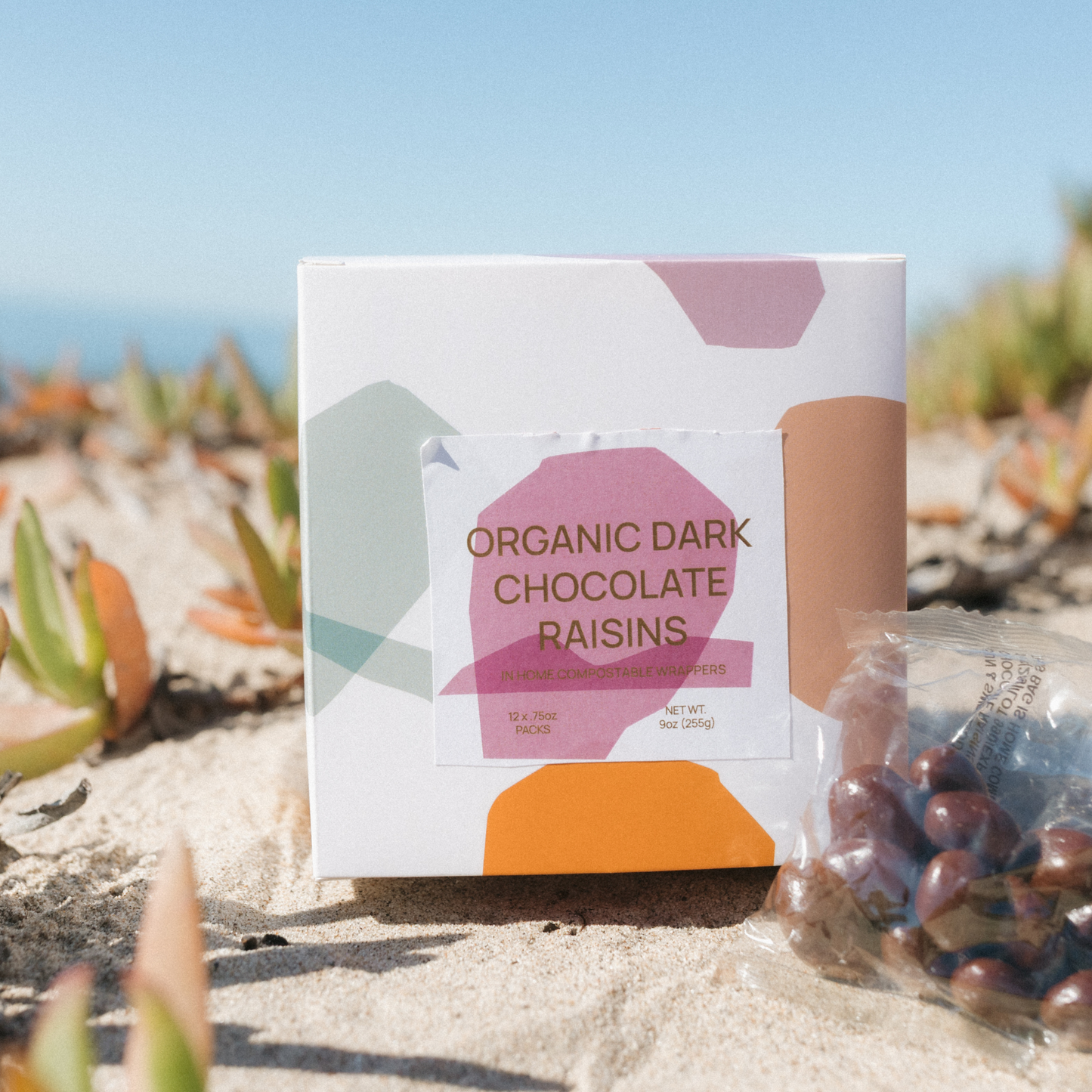 Organic Dark Chocolate Covered Raisins - 12 pack