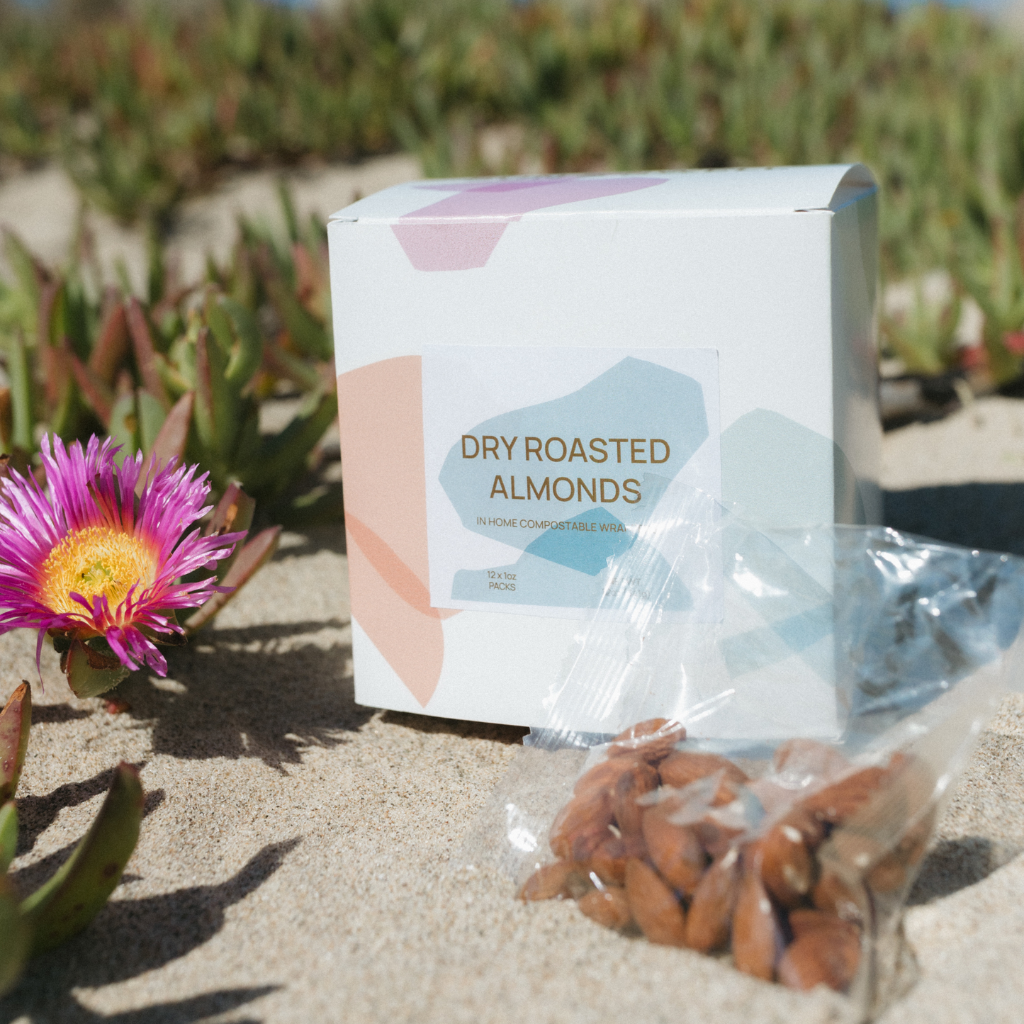 Dry Roasted California Almonds-12 Pack