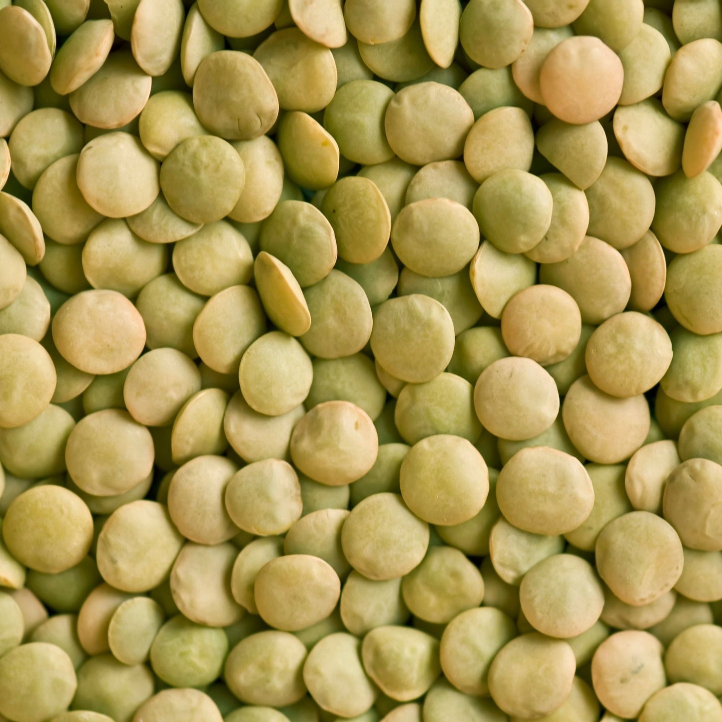organic green lentils 