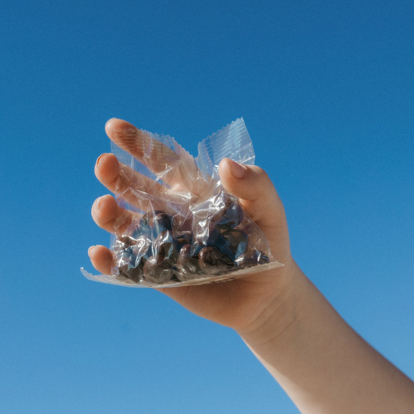 organic chocolate covered raisins fair trade chocolate